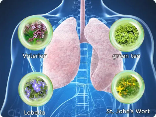 Gouttes naturelles pour les poumons marins