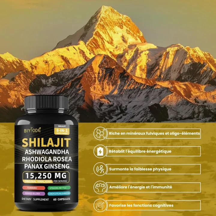 Capsules Pure Nutrition Shilajit Gold BIO 60pc