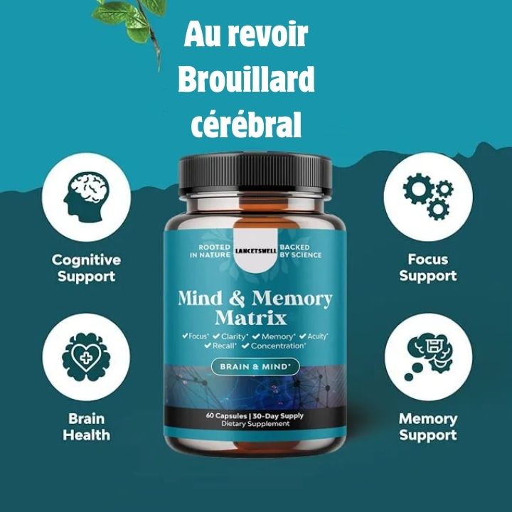 Complément synergique pour l'énergie mentale et la concentration