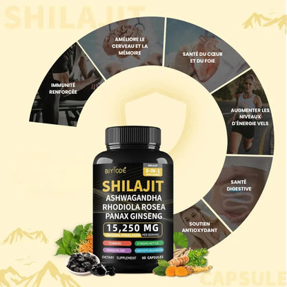Capsules Pure Nutrition Shilajit Gold BIO 60pc