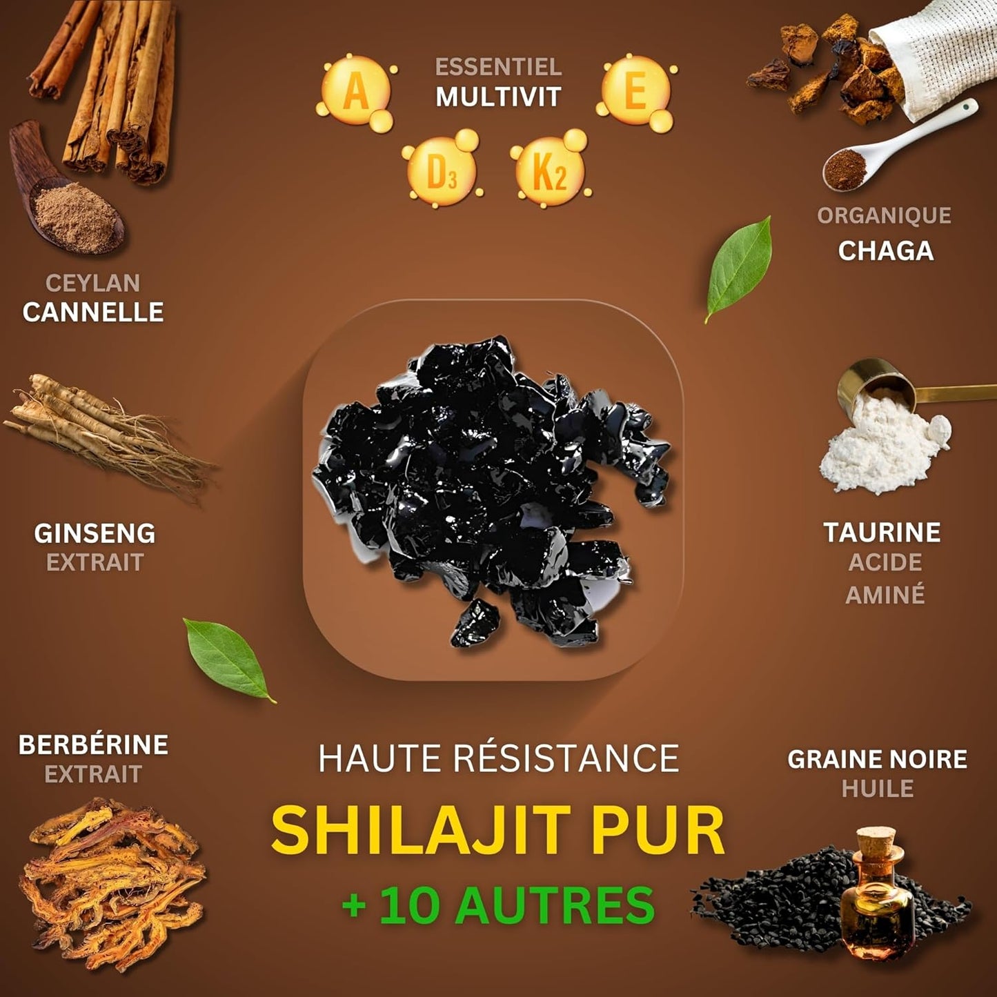Capsules Pure Nutrition Shilajit Gold BIO 60pc
