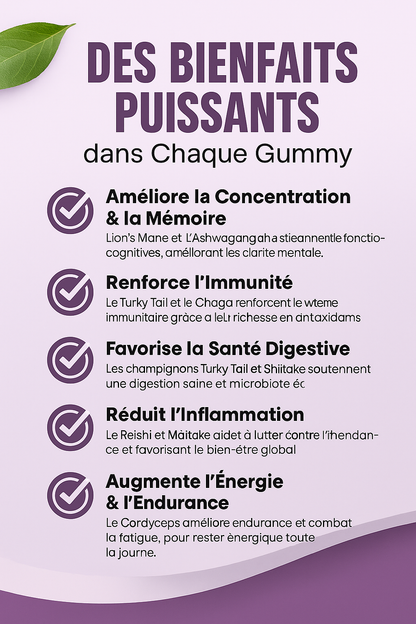 Complexe Fongique Naturel – Énergie Naturelle & Vitalité Quotidienne